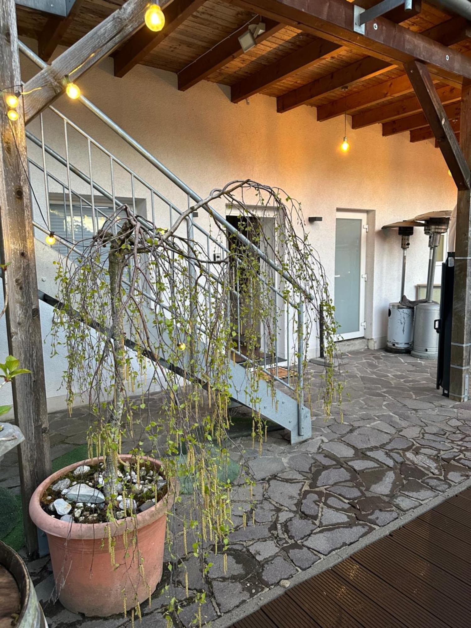 Mola Apartments-Charmante Ferienwohnung Im Herdecke Zentrum Fuer 3 Personen-Grosse Dachterrasse-Grill-Gratis Parken-Wlan Zewnętrze zdjęcie